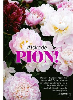 aftonbladet_hh-20190618_000_00_00_059.pdf