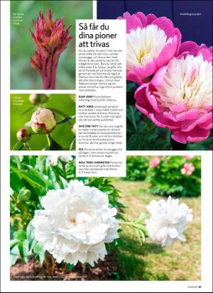 aftonbladet_hh-20190618_000_00_00_061.pdf