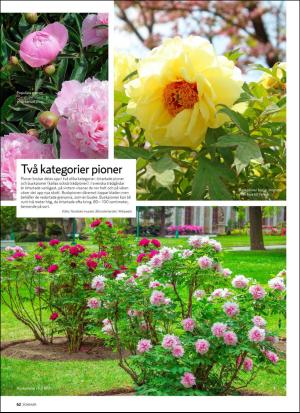 aftonbladet_hh-20190618_000_00_00_062.pdf