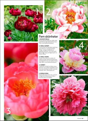 aftonbladet_hh-20190618_000_00_00_063.pdf