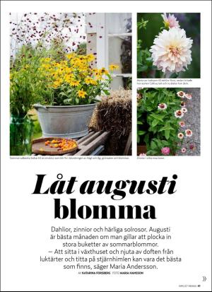 aftonbladet_hh-20190802_000_00_00_041.pdf