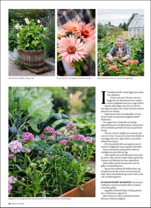 aftonbladet_hh-20190802_000_00_00_042.pdf