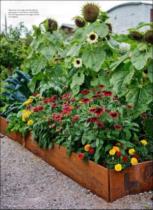 aftonbladet_hh-20190802_000_00_00_044.pdf