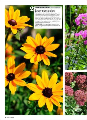 aftonbladet_hh-20190913_000_00_00_054.pdf