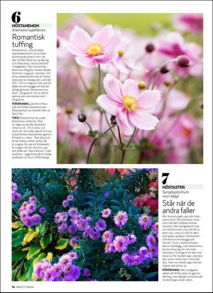 aftonbladet_hh-20190913_000_00_00_056.pdf