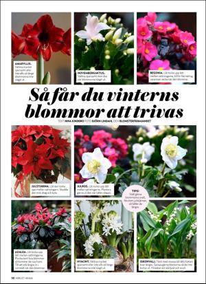 aftonbladet_hh-20191206_000_00_00_050.pdf