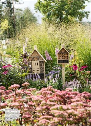 aftonbladet_hh-20200424_000_00_00_046.pdf