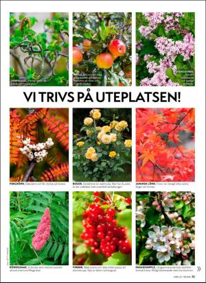 aftonbladet_hh-20200522_000_00_00_053.pdf