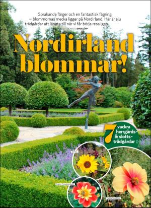 aftonbladet_hh-20200619_000_00_00_071.pdf