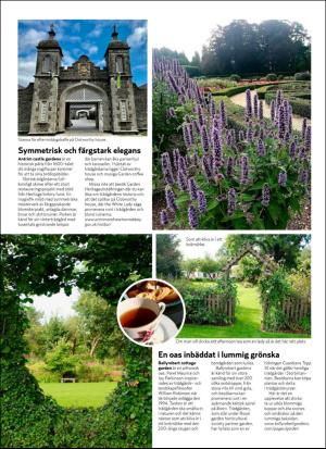 aftonbladet_hh-20200619_000_00_00_074.pdf