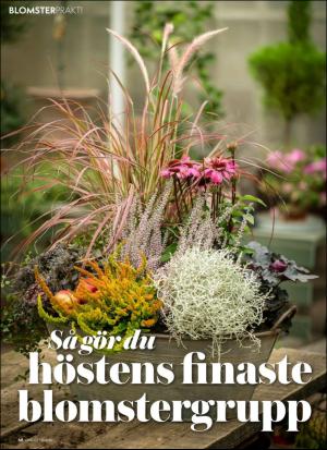 aftonbladet_hh-20201009_000_00_00_068.pdf
