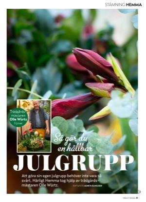 aftonbladet_hh-20201204_000_00_00_029.pdf