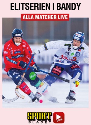 aftonbladet_hh-20210101_000_00_00_054.pdf