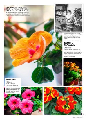 aftonbladet_hh-20210129_000_00_00_053.pdf
