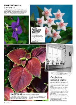 aftonbladet_hh-20210129_000_00_00_054.pdf