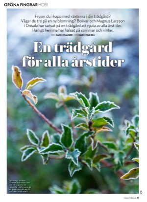 aftonbladet_hh-20210226_000_00_00_039.pdf