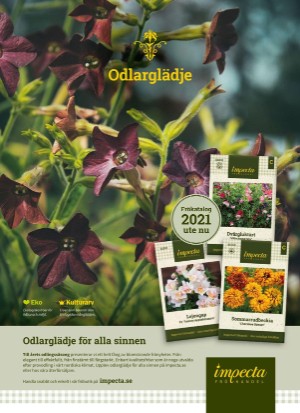 aftonbladet_hh-20210326_000_00_00_062.pdf