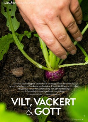 aftonbladet_hh-20210521_000_00_00_029.pdf