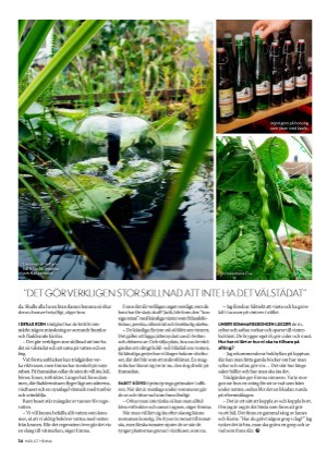 aftonbladet_hh-20210521_000_00_00_034.pdf