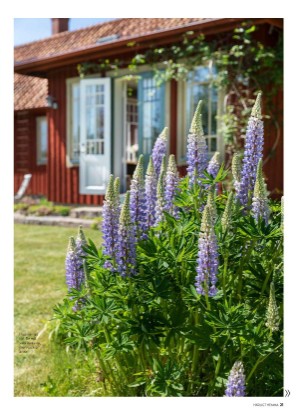 aftonbladet_hh-20210604_000_00_00_021.pdf