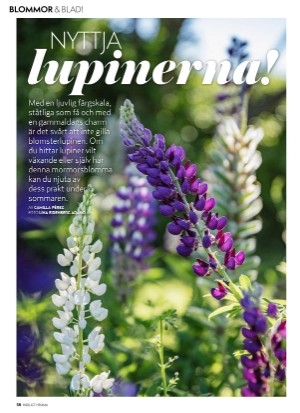 aftonbladet_hh-20210604_000_00_00_058.pdf