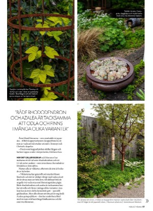 aftonbladet_hh-20210716_000_00_00_057.pdf