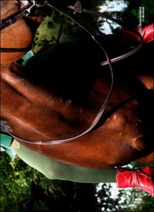 aftonbladet_klick-20130920_000_00_00_027.pdf