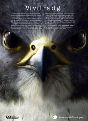 aftonbladet_klick-20140815_000_00_00_052.pdf