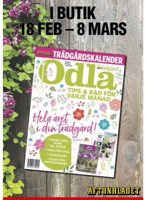 aftonbladet_klick-20210304_000_00_00_014.pdf