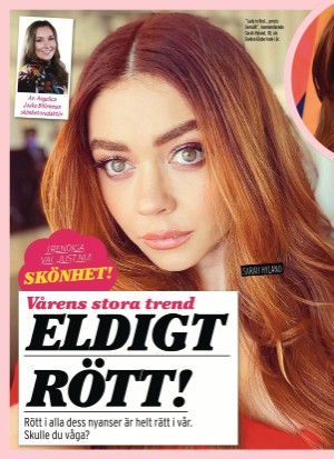aftonbladet_klick-20210325_000_00_00_034.pdf