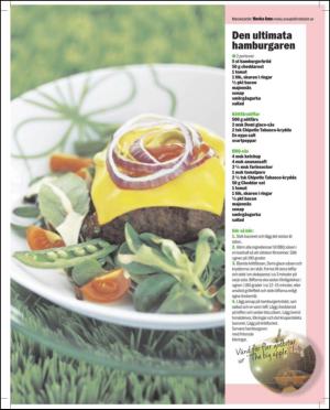 aftonbladet_sondag-20110410_000_00_00_055.pdf
