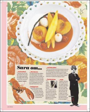aftonbladet_sondag-20110410_000_00_00_058.pdf