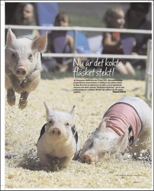 aftonbladet_sondag-20110710_000_00_00_007.pdf