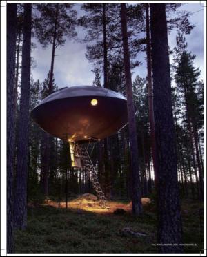 aftonbladet_sondag-20111211_000_00_00_007.pdf