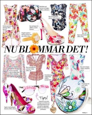 aftonbladet_sondag-20130623_000_00_00_021.pdf
