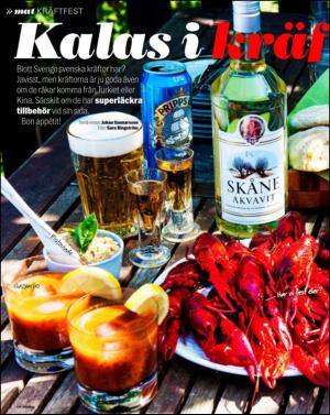 aftonbladet_sondag-20130804_000_00_00_060.pdf