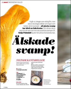 aftonbladet_sondag-20130825_000_00_00_060.pdf