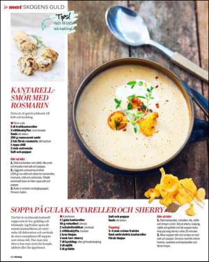 aftonbladet_sondag-20130825_000_00_00_062.pdf