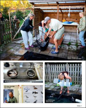 aftonbladet_sondag-20131103_000_00_00_015.pdf