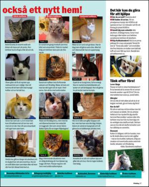 aftonbladet_sondag-20131201_000_00_00_027.pdf