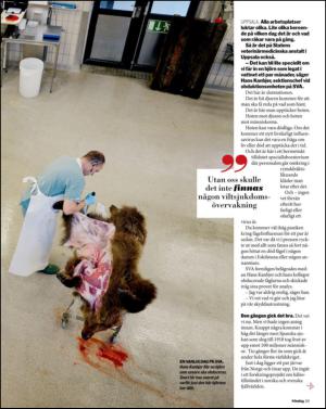 aftonbladet_sondag-20131229_000_00_00_031.pdf