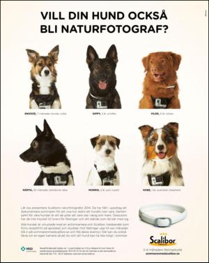 aftonbladet_sondag-20140413_000_00_00_007.pdf