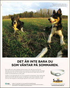 aftonbladet_sondag-20140420_000_00_00_002.pdf