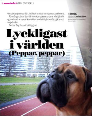 aftonbladet_sondag-20140504_000_00_00_050.pdf