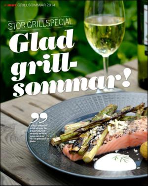 aftonbladet_sondag-20140622_000_00_00_074.pdf