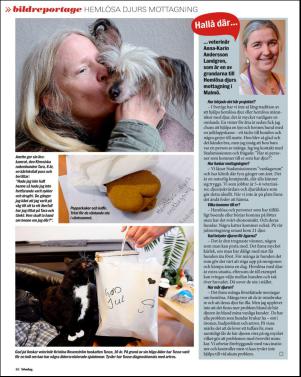 aftonbladet_sondag-20151220_000_00_00_048.pdf