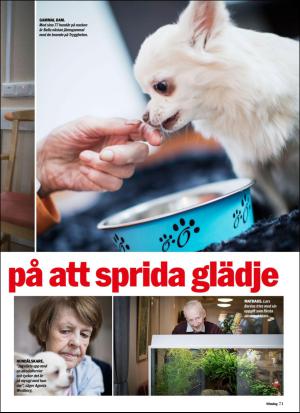 aftonbladet_sondag-20170326_000_00_00_071.pdf