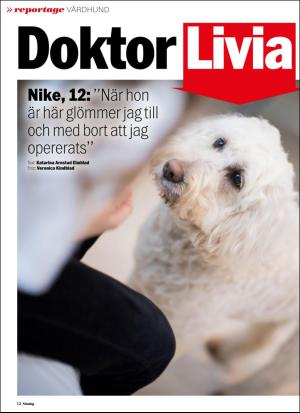 aftonbladet_sondag-20170528_000_00_00_012.pdf