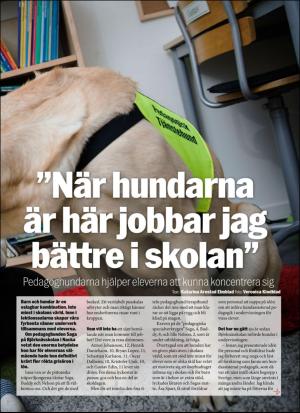 aftonbladet_sondag-20170625_000_00_00_071.pdf