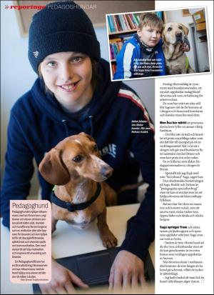aftonbladet_sondag-20170625_000_00_00_076.pdf
